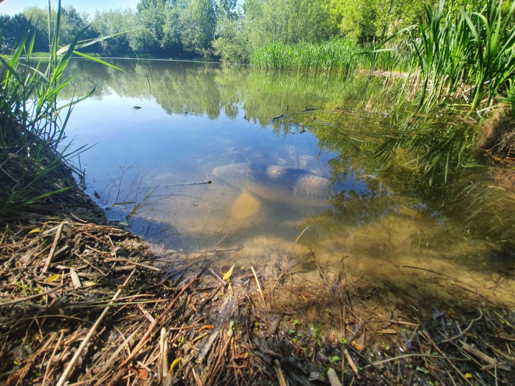 Emerald Pool Fishery